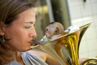 Sarah Willis mit Aeffchen Sarah Willis mit Aeffchen