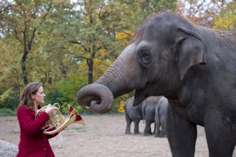 Sarah Willis mit Elefant Sarah Willis mit Elefant